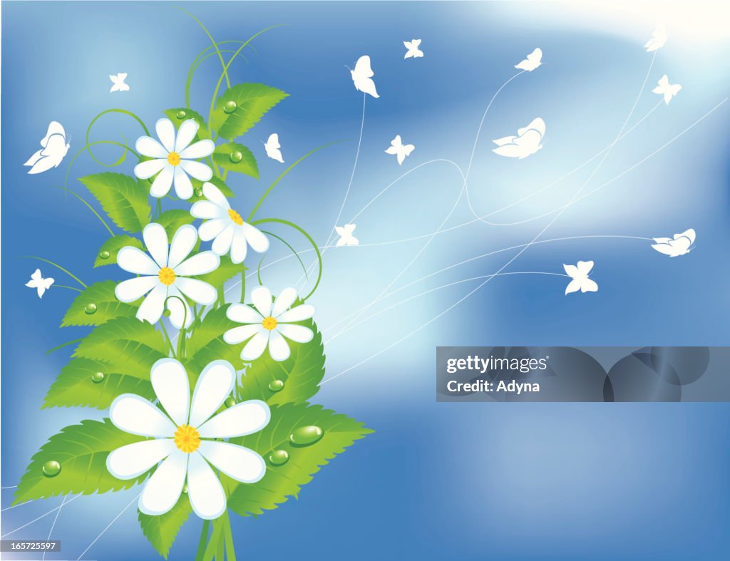 Waiting For Spring High-Res Vector Graphic - Getty Images