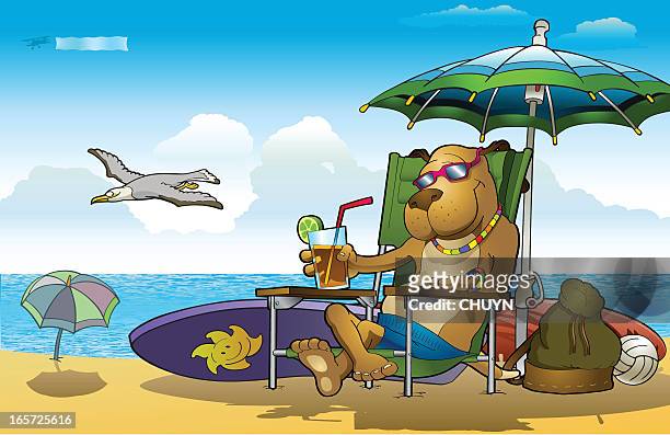 406 Funny Beach Cartoons Photos and Premium High Res Pictures - Getty Images