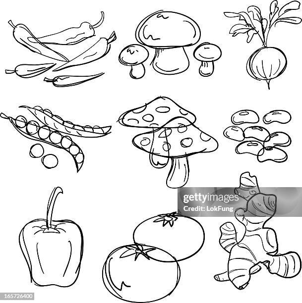 food collection in black and white - bean stock illustrations