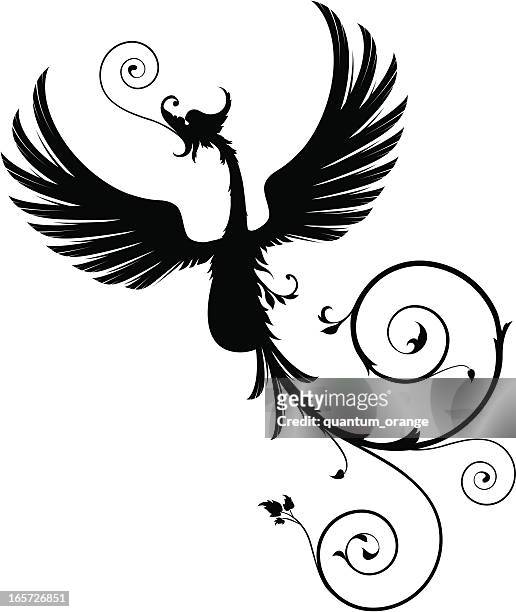 stockillustraties, clipart, cartoons en iconen met phoenix - phoenix bird