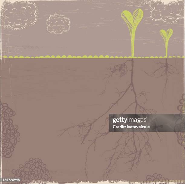 Spring Roots Plants 490 Plant Root System Stock Photos, High-Res Pictures, and Images ...