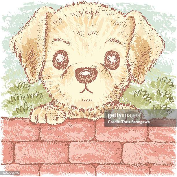 labrador retriever on brick - labrador puppy stock illustrations