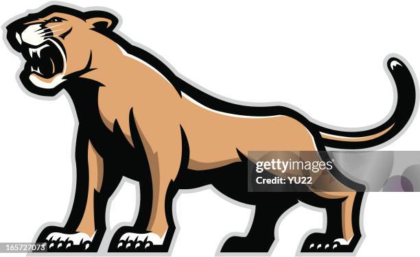 cougar maskottchen - mascot stock-grafiken, -clipart, -cartoons und -symbole