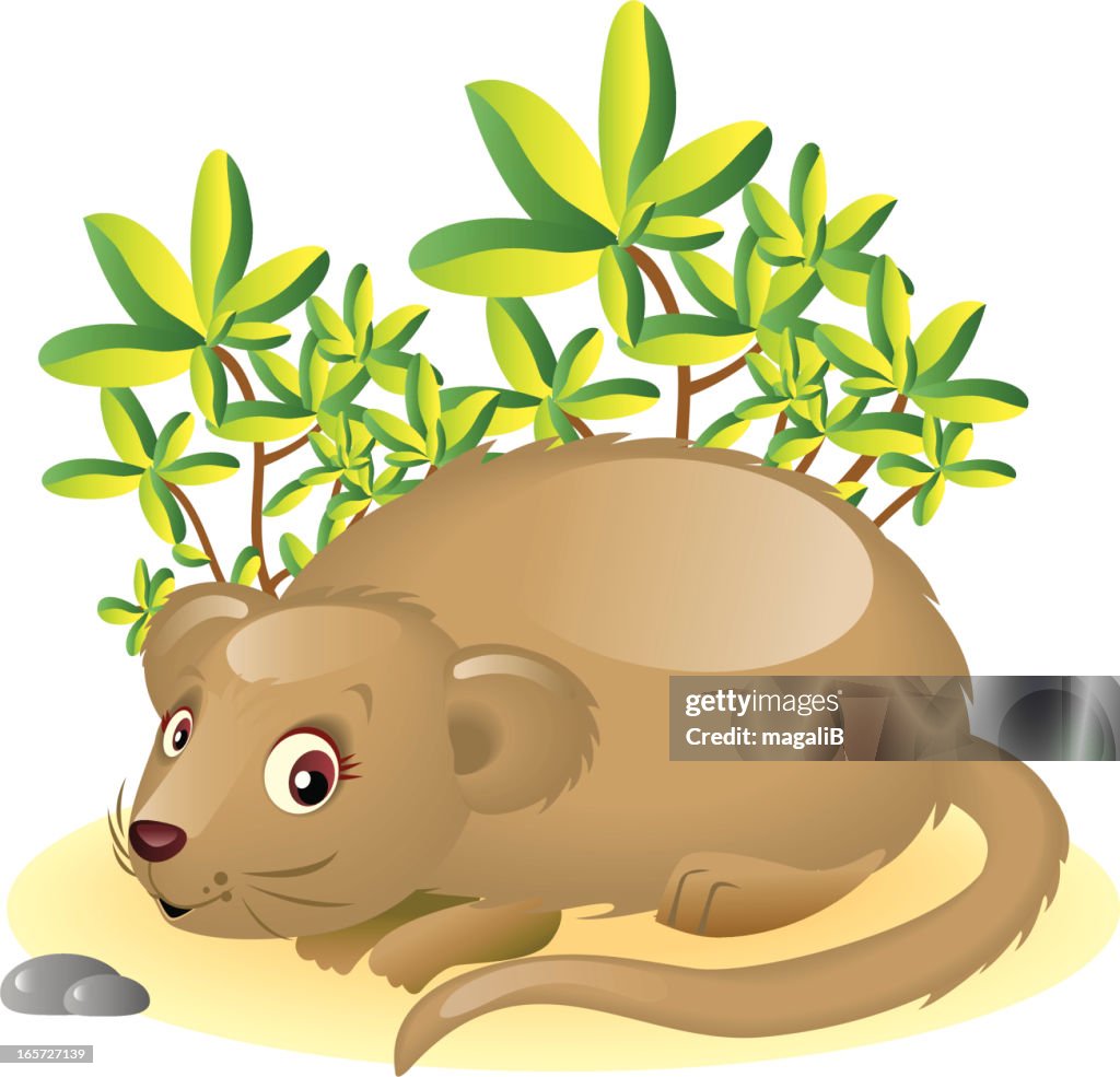 Ratón campestre