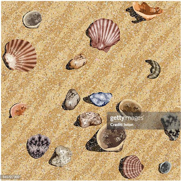 seamless beach background - shingles texture stock illustrations