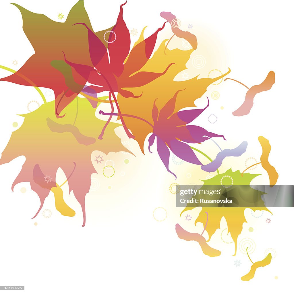 Autumn Maple Leaves Background