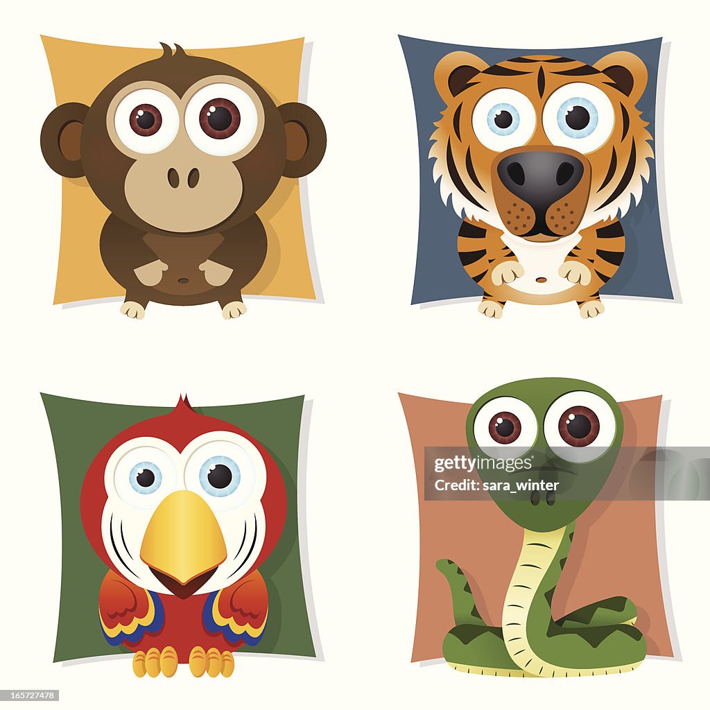 Collection of big-eyed tropical animals: monkey, tiger, parrot, snake