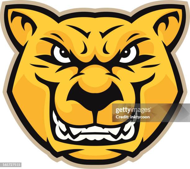 cougar head - puma vector stock illustrations