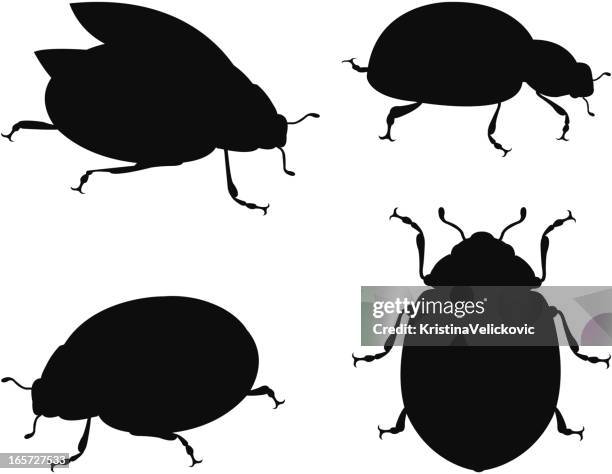 1 310点のテントウムシイラスト素材 Getty Images 1 310点のテントウムシイラスト素材 Getty Images