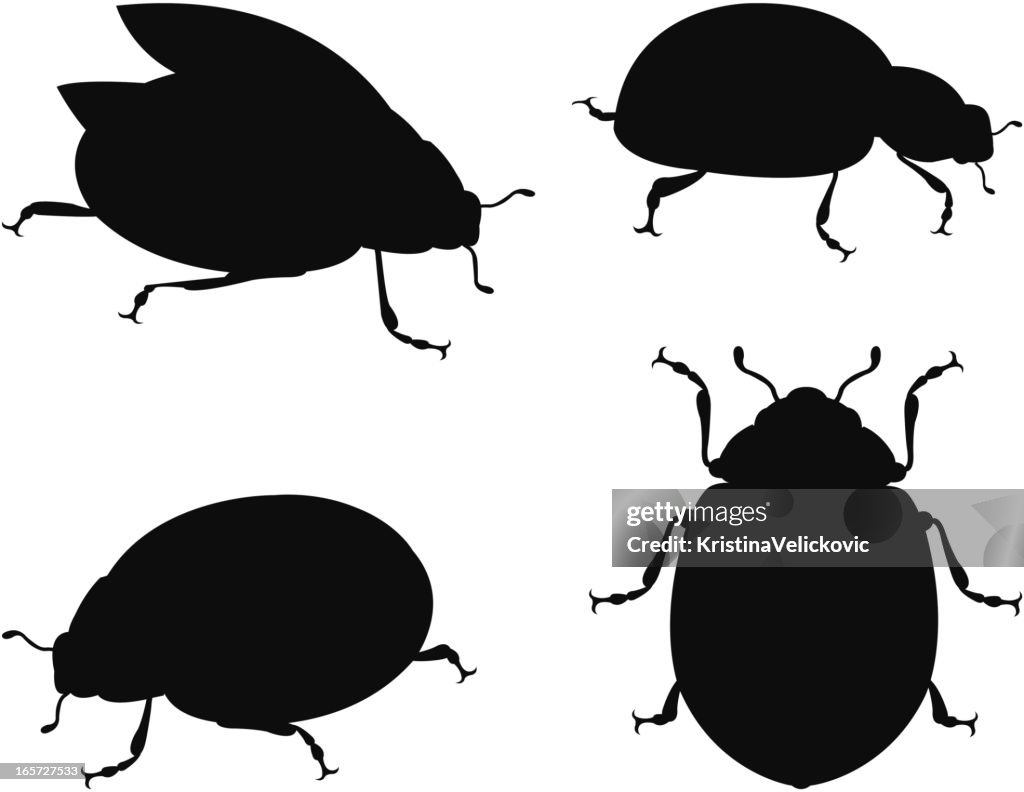 Silhouette ladybug