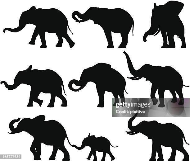 ilustrações de stock, clip art, desenhos animados e ícones de silhuetas de elefante - elephant