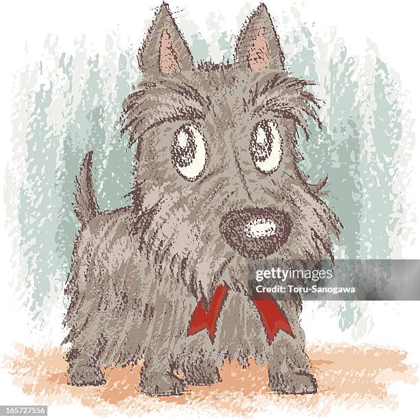 scottish terrier - scottish terrier stock illustrations