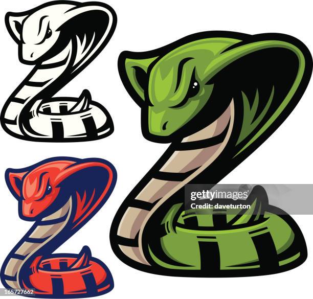 illustrazioni stock, clip art, cartoni animati e icone di tendenza di serpente cobra - cobra