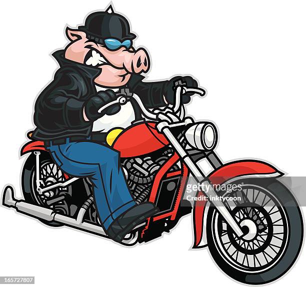 stockillustraties, clipart, cartoons en iconen met pig riding motorcycle - motorfietser