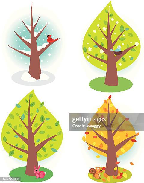 four seasons - squirrel tree branch stock illustrations