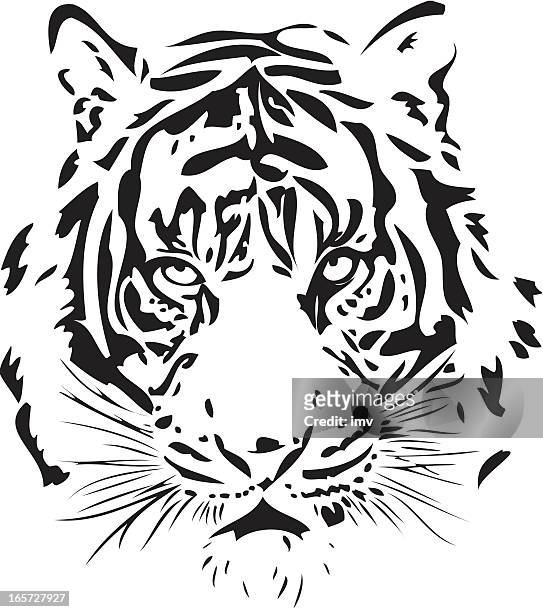 bildbanksillustrationer, clip art samt tecknat material och ikoner med tiger illustration in black lines - animal markings
