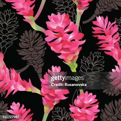 Ginger Pattern (Black) Ginger Pattern (Black)