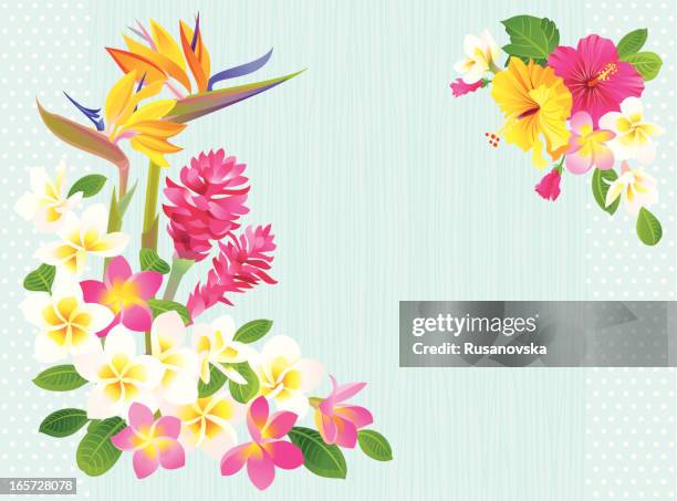 cartoon image of tropical flower background - exotic flower bouquets stock illustrations