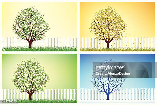 14,288 Winter Summer Tree Stock Photos, High-Res Pictures, and Images ...