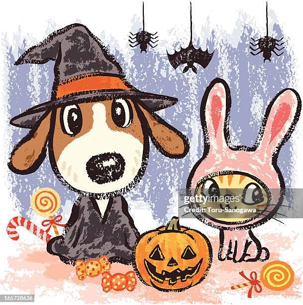 dog and cat at halloween - dog cat halloween stock illustrations