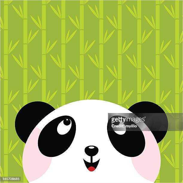 Panda Bear High-Res Vector Graphic - Getty Images