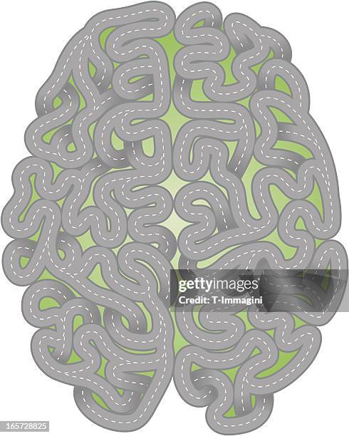 stockillustraties, clipart, cartoons en iconen met street brain - diencephalon