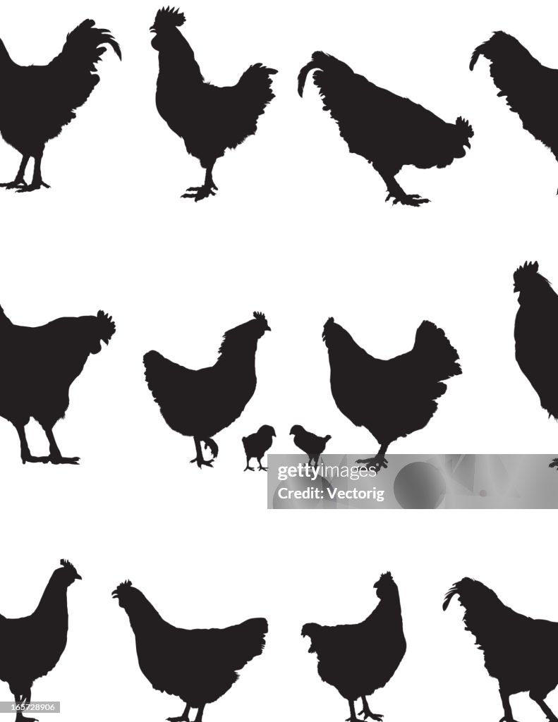 Rooster and Chicken Silhouette.