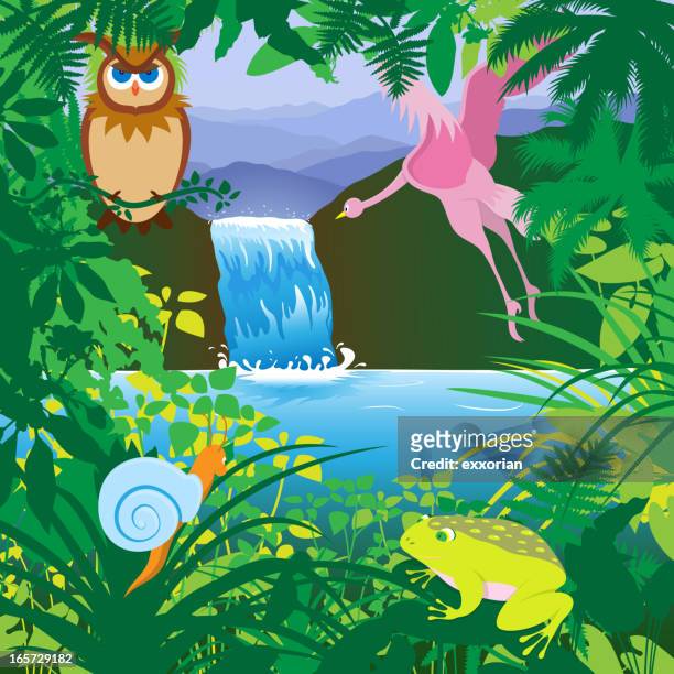 ilustraciones, imágenes clip art, dibujos animados e iconos de stock de selva tropical - búho real