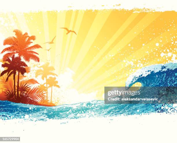 ilustraciones, imágenes clip art, dibujos animados e iconos de stock de isla tropical de fondo - surf beach