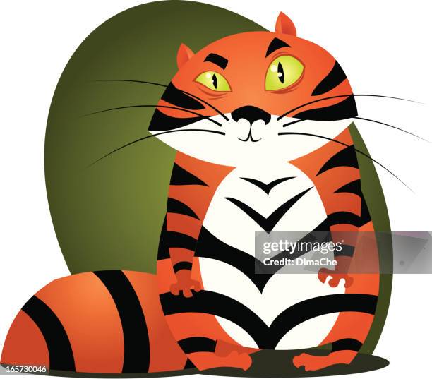 tiger-cat - tiger kitten stock illustrations