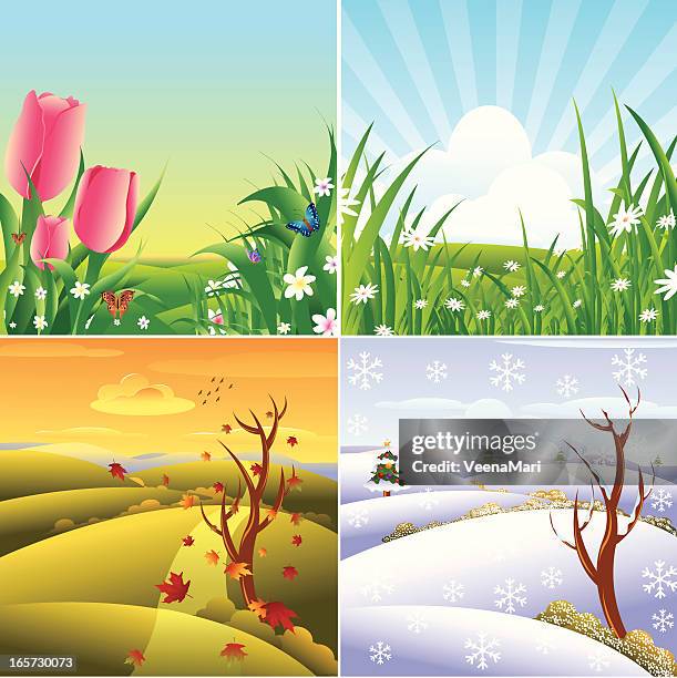 four season landscape. - four seasons stock illustrations