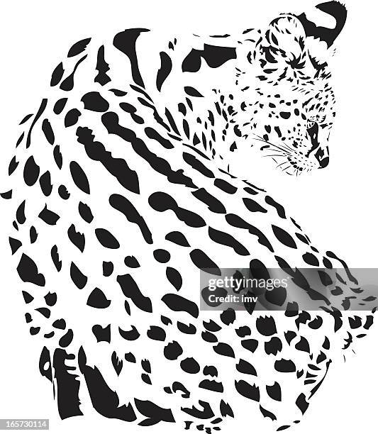 serval illustration in black lines - serval stock illustrations
