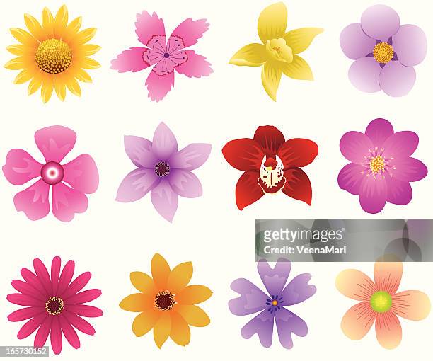 ilustraciones, imágenes clip art, dibujos animados e iconos de stock de icono de flores de primavera - orquidea salvaje