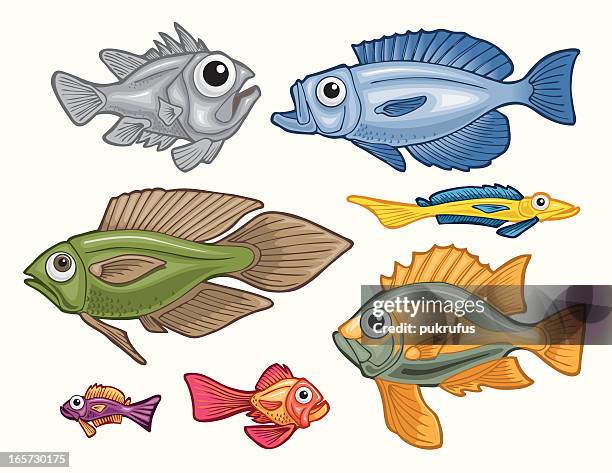 ilustraciones, imágenes clip art, dibujos animados e iconos de stock de coloridos peces - vertebrae