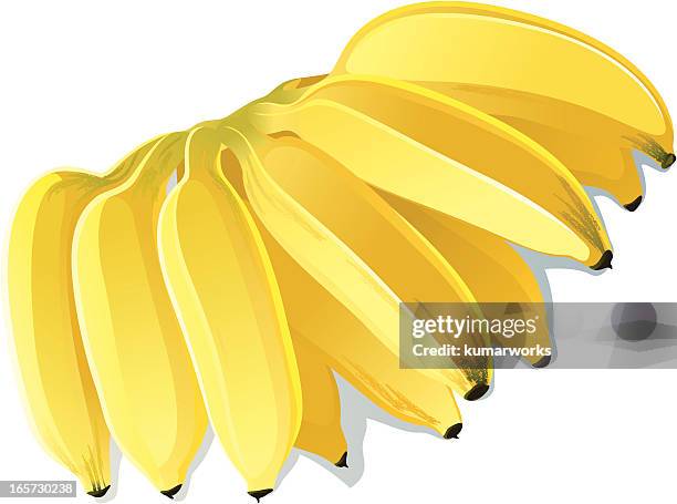banana bunch - plantain bunch stock illustrations