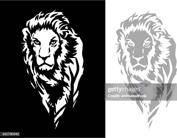 bold lion - lion black and white stock illustrations