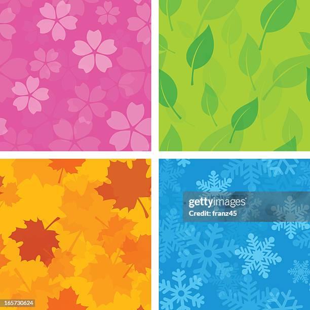 15,161 Winter Spring Summer Fall Stock Photos, High-Res Pictures, and ...