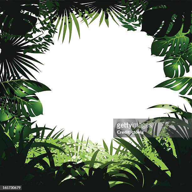 jungle frame - philodendron stock illustrations