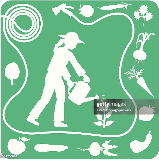gardening silhouette elements - courgette stock illustrations