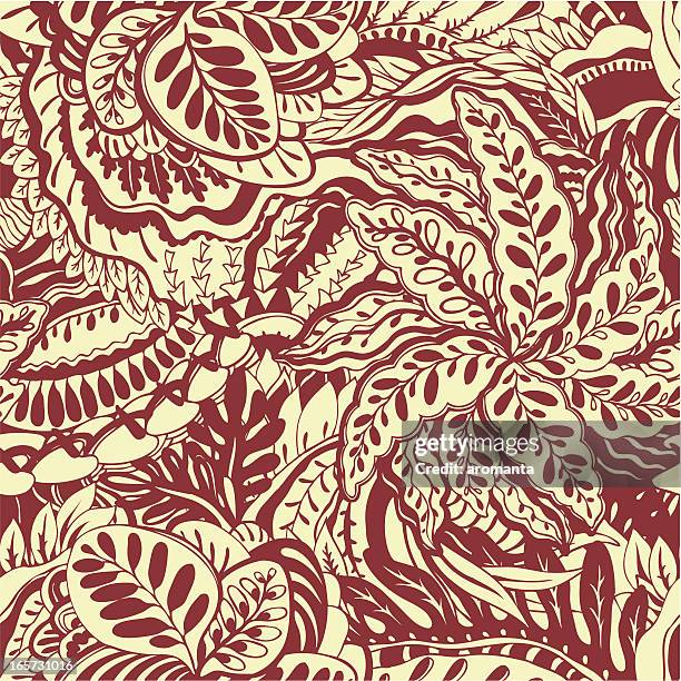 tropical pattern - calathea leaf stock illustrations