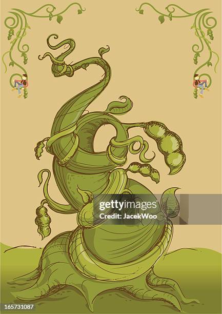 beanstalk - beanstalk leaves stock illustrations
