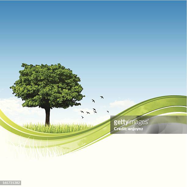 single tree natur hintergrund - rolling landscape stock-grafiken, -clipart, -cartoons und -symbole