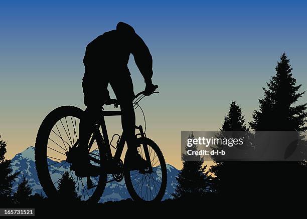 stockillustraties, clipart, cartoons en iconen met sunset mountain bike ride on top of the world - motorfietser