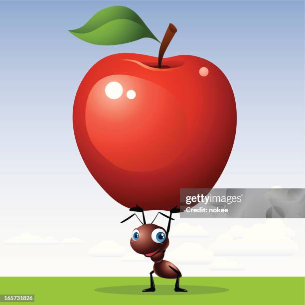 ilustraciones, imágenes clip art, dibujos animados e iconos de stock de hormiga de manzana - hormiga