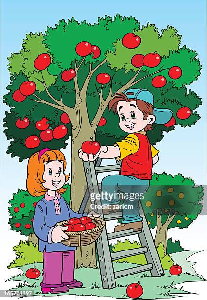children in the orchard - apple orchard stock illustrations
