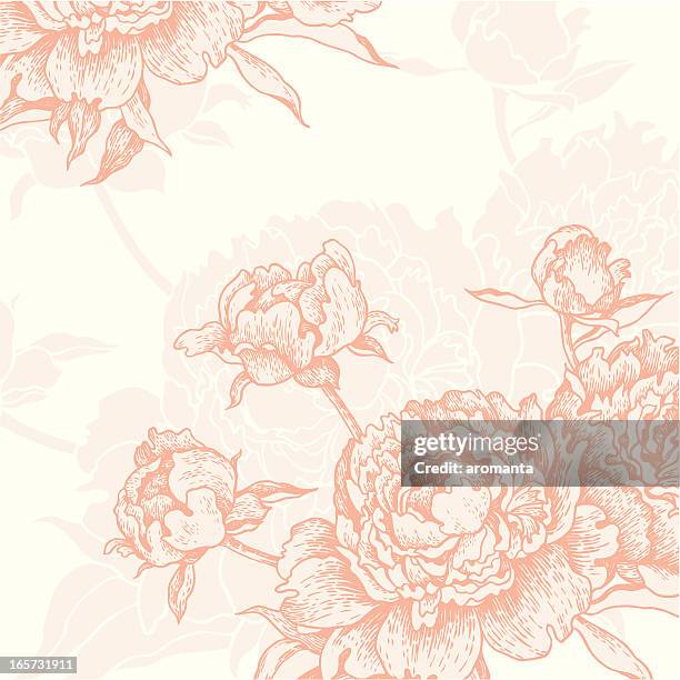 engraved peonies background - peony stock illustrations