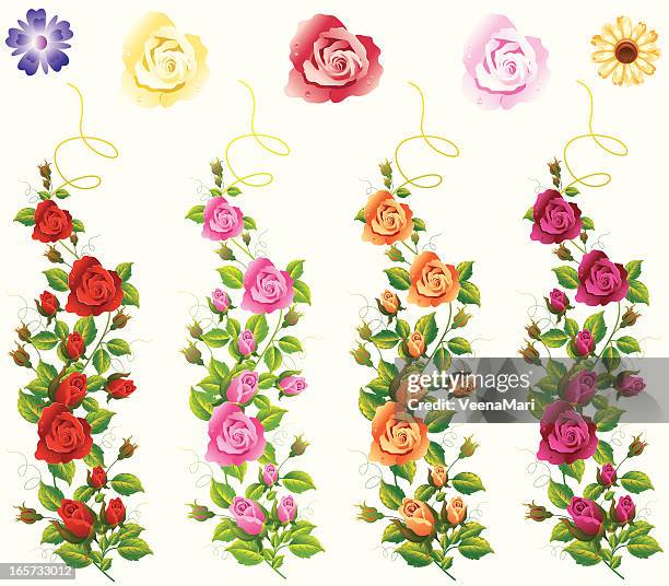 different colour rose vine set. - corner marking 幅插畫檔、美工圖案、卡通及圖標