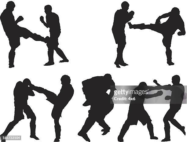 ultimative kämpfenden männer - mixed martial arts stock-grafiken, -clipart, -cartoons und -symbole