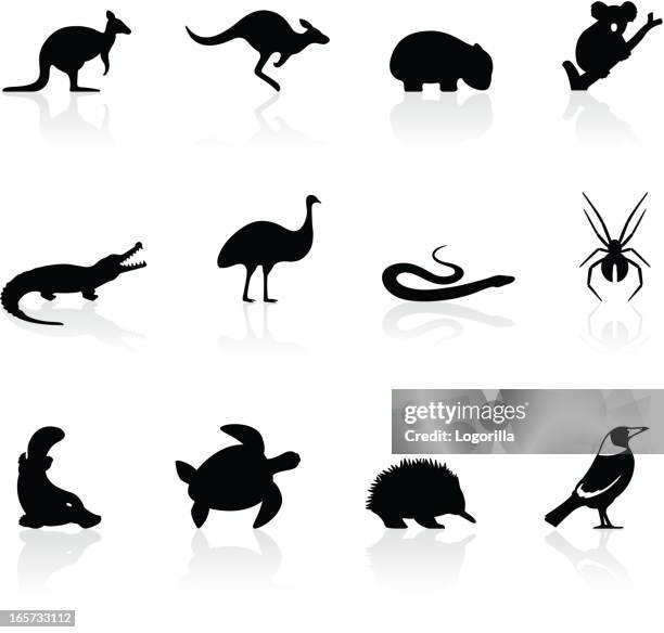stockillustraties, clipart, cartoons en iconen met australian animal icons - ekster