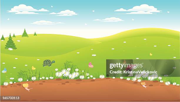 landscape - chamomile plant stock illustrations
